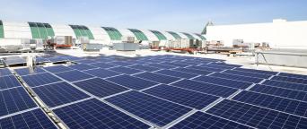 Solar panels on a roof.