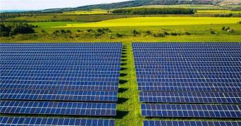 solar panels in a field