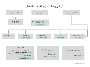 Organizational structure