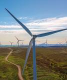A leading developer of offshore wind farms case study