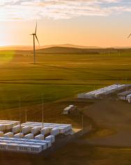 battery farm