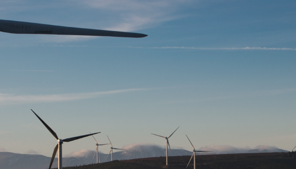 Irish_Wind_header