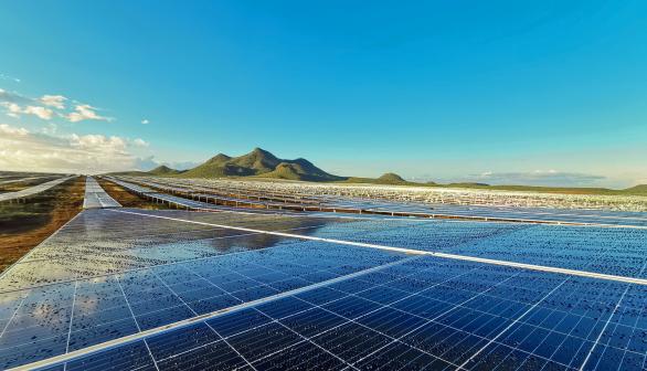 solar panels