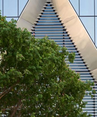 tree Infront of Brookfield place, Dubai