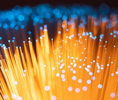 Fiber optic array