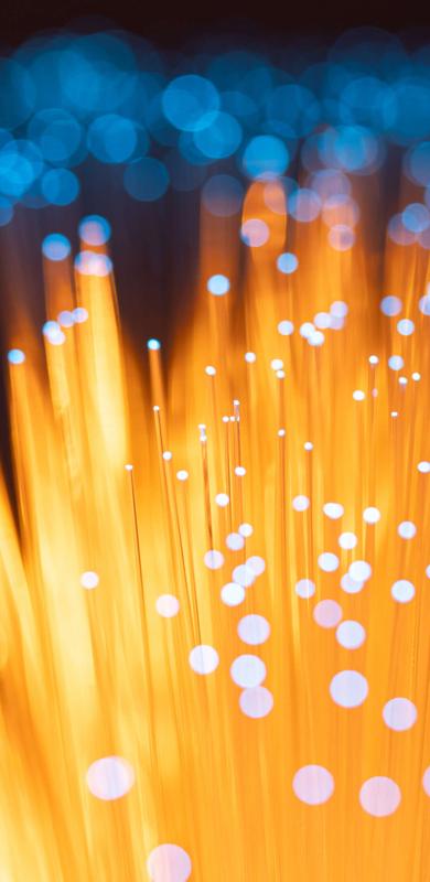 Fiber optic array