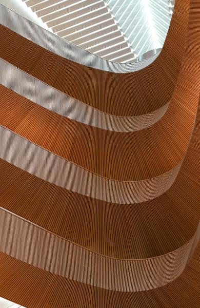 Interior architecture with curved layered wooden panels
