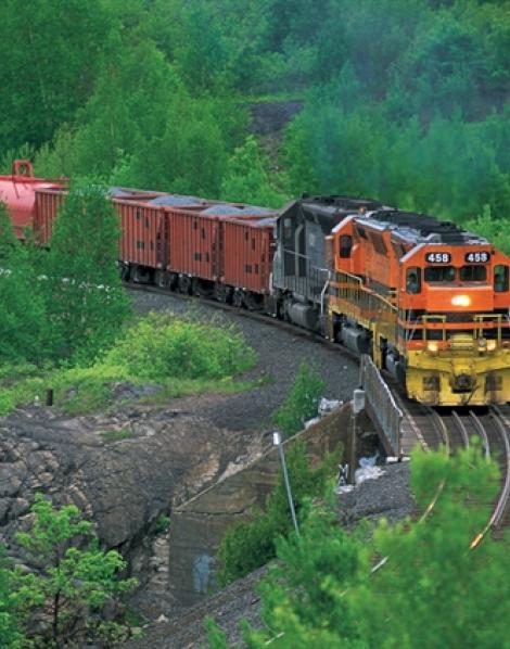 train traveling through the woods