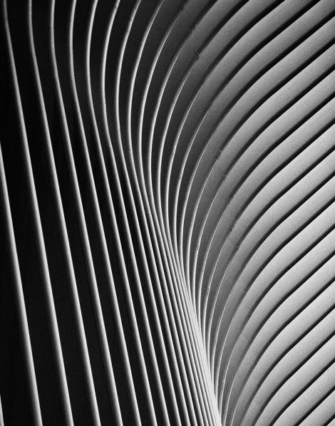 Texture lines