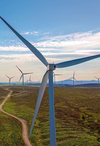 A leading developer of offshore wind farms case study