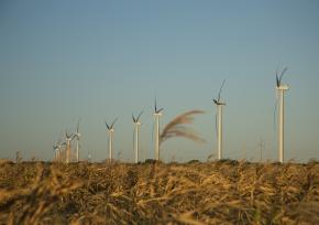 Wind farm