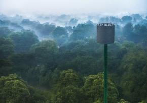 Telecom tower